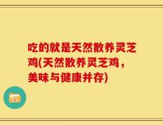 吃的就是天然散养灵芝鸡(天然散养灵芝鸡，美味与健康并存)