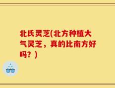 北氏灵芝(北方种植大气灵芝，真的比南方好吗？)