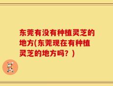 东莞有没有种植灵芝的地方(东莞现在有种植灵芝的地方吗？)