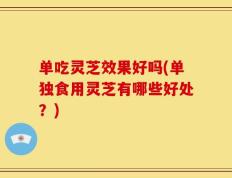 单吃灵芝效果好吗(单独食用灵芝有哪些好处？)