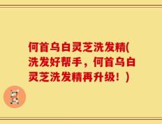 何首乌白灵芝洗发精(洗发好帮手，何首乌白灵芝洗发精再升级！)