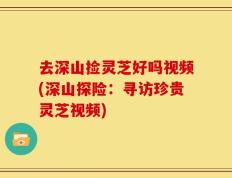 去深山捡灵芝好吗视频(深山探险：寻访珍贵灵芝视频)