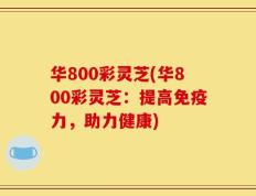 华800彩灵芝(华800彩灵芝：提高免疫力，助力健康)