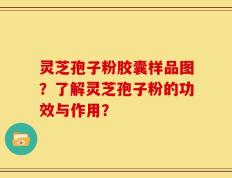 灵芝孢子粉胶囊样品图？了解灵芝孢子粉的功效与作用？