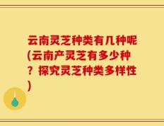 云南灵芝种类有几种呢(云南产灵芝有多少种？探究灵芝种类多样性)