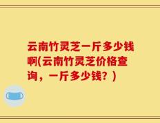 云南竹灵芝一斤多少钱啊(云南竹灵芝价格查询，一斤多少钱？)