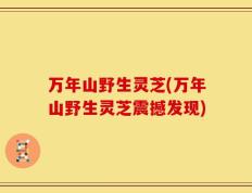 万年山野生灵芝(万年山野生灵芝震撼发现)