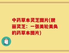 中药草本灵芝图片(靓丽灵芝：一张美轮美奂的药草本图片)