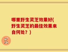 哪里野生灵芝效果好(野生灵芝的最佳效果来自何处？)