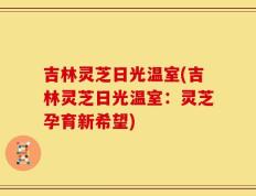 吉林灵芝日光温室(吉林灵芝日光温室：灵芝孕育新希望)