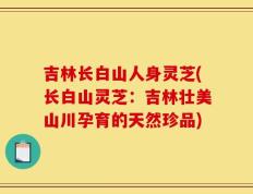 吉林长白山人身灵芝(长白山灵芝：吉林壮美山川孕育的天然珍品)