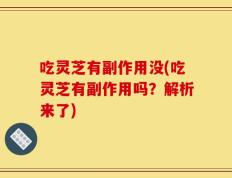 吃灵芝有副作用没(吃灵芝有副作用吗？解析来了)