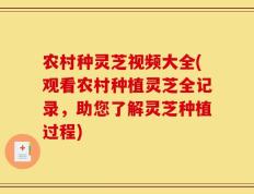 农村种灵芝视频大全(观看农村种植灵芝全记录，助您了解灵芝种植过程)