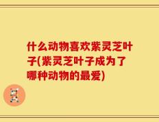 什么动物喜欢紫灵芝叶子(紫灵芝叶子成为了哪种动物的最爱)