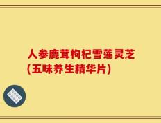 人参鹿茸枸杞雪莲灵芝(五味养生精华片)