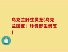 乌克兰野生灵芝(乌克兰国宝：珍贵野生灵芝)