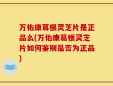 万佑康葛根灵芝片是正品么(万佑康葛根灵芝片如何鉴别是否为正品)