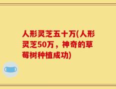 人形灵芝五十万(人形灵芝50万，神奇的草莓树种植成功)