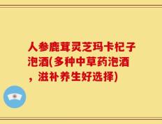 人参鹿茸灵芝玛卡杞子泡酒(多种中草药泡酒，滋补养生好选择)