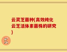 云灵芝菌种(高效纯化云芝活体素菌株的研究)