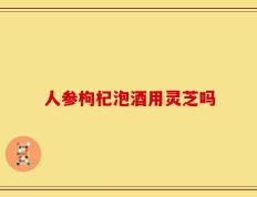 人参枸杞泡酒用灵芝吗