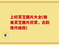上好灵芝图片大全(精美灵芝图片欣赏，古韵现代极致)