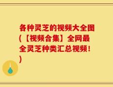 各种灵芝的视频大全图(【视频合集】全网最全灵芝种类汇总视频！)