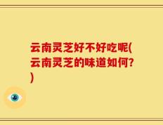 云南灵芝好不好吃呢(云南灵芝的味道如何？)