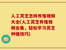 人工灵芝怎样养殖视频大全(人工灵芝养殖视频合集，轻松学习灵芝种植技巧)