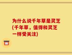 为什么说千年草是灵芝(千年草，值得和灵芝一样受关注)