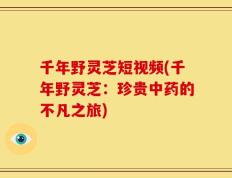 千年野灵芝短视频(千年野灵芝：珍贵中药的不凡之旅)