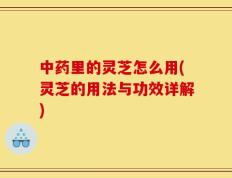 中药里的灵芝怎么用(灵芝的用法与功效详解)