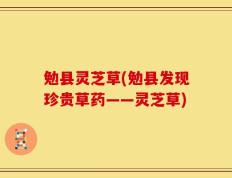 勉县灵芝草(勉县发现珍贵草药——灵芝草)