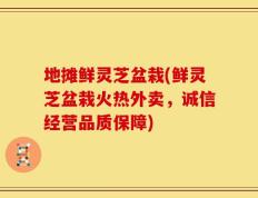 地摊鲜灵芝盆栽(鲜灵芝盆栽火热外卖，诚信经营品质保障)