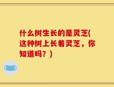 什么树生长的是灵芝(这种树上长着灵芝，你知道吗？)