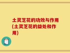 土灵芝花的功效与作用(土灵芝花的益处和作用)