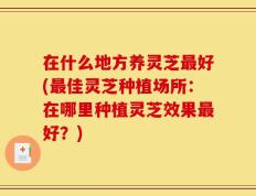 在什么地方养灵芝最好(最佳灵芝种植场所：在哪里种植灵芝效果最好？)