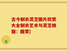 古今制衣灵芝图片欣赏大全制衣艺术与灵芝精髓：图赏)