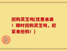 团购灵芝鸡(优惠来袭！限时团购灵芝鸡，赶紧来抢购！)