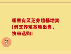 哪里有灵芝养殖基地卖(灵芝养殖基地出售，快来选购！