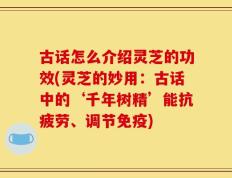 古话怎么介绍灵芝的功效(灵芝的妙用：古话中的‘千年树精’能抗疲劳、调节免疫)