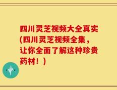 四川灵芝视频大全真实(四川灵芝视频全集，让你全面了解这种珍贵药材！)