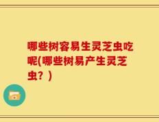 哪些树容易生灵芝虫吃呢(哪些树易产生灵芝虫？)