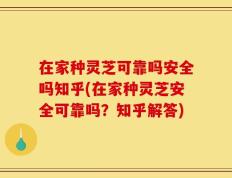 在家种灵芝可靠吗安全吗知乎(在家种灵芝安全可靠吗？知乎解答)