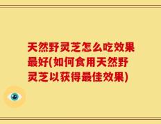 天然野灵芝怎么吃效果最好(如何食用天然野灵芝以获得最佳效果)