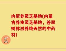 内蒙养灵芝基地(内蒙古养生灵芝基地，苍翠树林滋养纯天然的中药材)