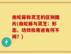 南蛇藤和灵芝的区别图片(南蛇藤与灵芝：形态、功效和用途有何不同？)