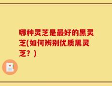 哪种灵芝是最好的黑灵芝(如何辨别优质黑灵芝？)