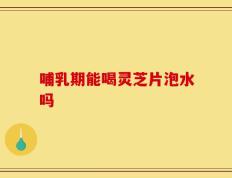 哺乳期能喝灵芝片泡水吗