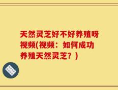 天然灵芝好不好养殖呀视频(视频：如何成功养殖天然灵芝？)